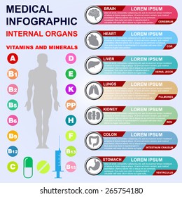 Internal organs. Vitamins and minerals. Medical infographics.