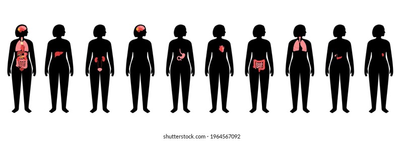 Internal organs in woman body. Brain, stomach, heart, kidney, and other organs medical icon in female silhouette. Digestive, respiratory, cardiovascular systems. Anatomy poster vector illustration.