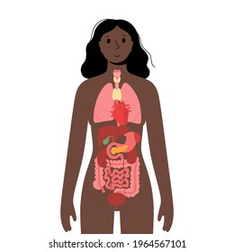 Stomach Body Parts Of Woman : Amazon Com Internal Organs Of The Human