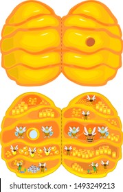 Internal structure of beehive. Yellow cartoon beehive and honey bee family