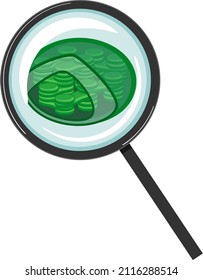 Internal structure of chloroplast with thylakoids under magnifying glass isolated on white background