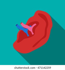 Internal structure of ear icon in flat style with long shadow. Organ symbol