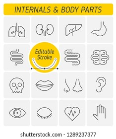 The internals and body parts outline icon set. The viscera and external human organs. Digestive, respiratory, urogenital, nervous systems line symbols. Thin linear vector icons with editable strokes.