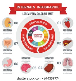 Internals infographic banner concept. Flat illustration of internals infographic vector poster concept for web