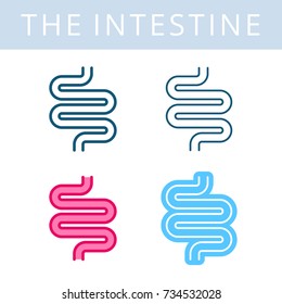 The internals outline icon set. Intestine, digestive system symbols. Viscera, inside organs vector linear pictograms. Thin line medical and anatomy infographic elements for web, presentation, network.