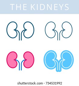 The internals outline icon set. Kidneys, urogenital system symbols. Viscera, inside organs vector linear pictograms. Thin line medical and anatomy infographic elements for web, presentation, network.