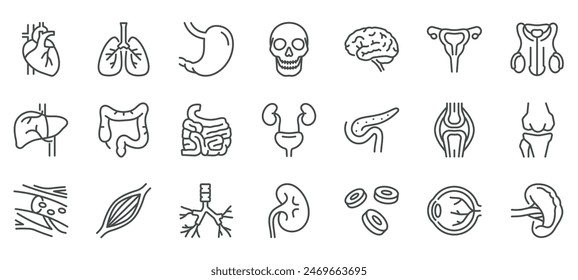 Internals Viscera Icons Set. Thin Line Illustrations of Human Internal Organs and Viscera. Editable Vector Signs Collection.