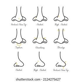 International body piercing day. Iicons set type of nose jewelry. vector Line art face illustration. 