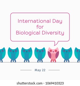 International Day for Biological Diversity greetings card or banner. Vector background with cartoon owls