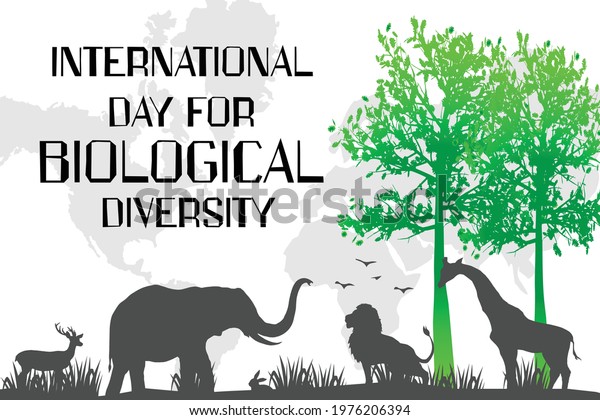 International Day Biological Diversity Vector Art Stock Vector Royalty Free