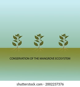 international day for the conservation of the mangrove ecosystem web banner design. illustration vector