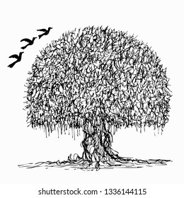 International Day of Forest 