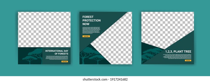 International Day of Forests. Social media template for International Day of Forests. Education to know the forest. Sustaining all life on earth.