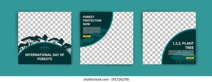 International Day of Forests. Social media template for International Day of Forests. Education to know the forest. Sustaining all life on earth.