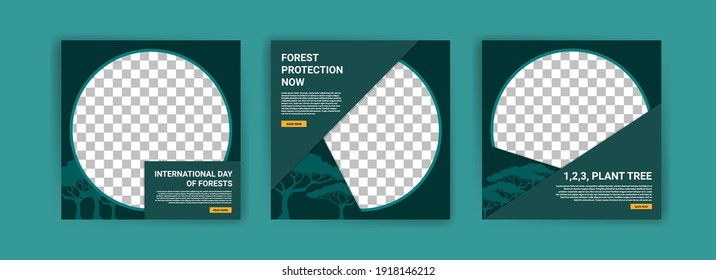 International Day of Forests. Social media template for International Day of Forests. Education to know the forest. Sustaining all life on earth.