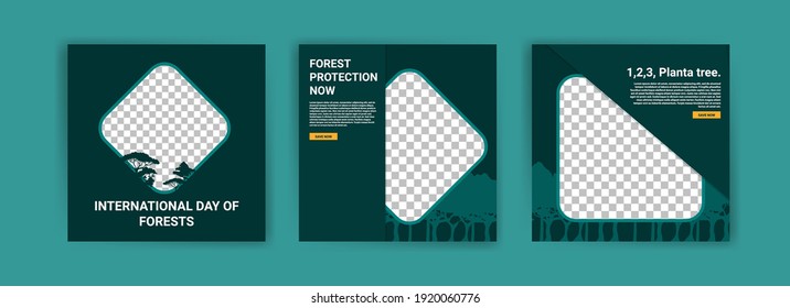 International Day of Forests. Social media template for International Day of Forests. Education to know the forest. Sustaining all life on earth.