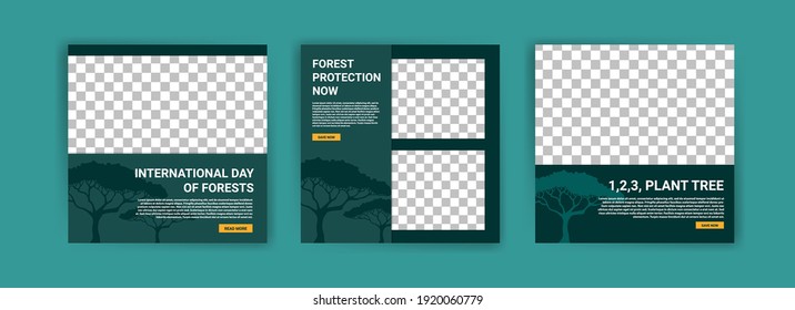 International Day of Forests. Social media template for International Day of Forests. Education to know the forest. Sustaining all life on earth.