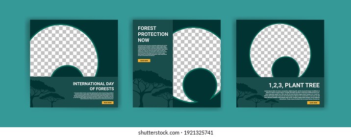 International Day of Forests. Social media template for International Day of Forests. Education to know the forest. Sustaining all life on earth.