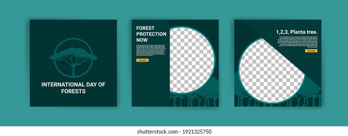 International Day of Forests. Social media template for International Day of Forests. Education to know the forest. Sustaining all life on earth.