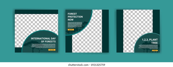 International Day of Forests. Social media template for International Day of Forests. Education to know the forest. Sustaining all life on earth.