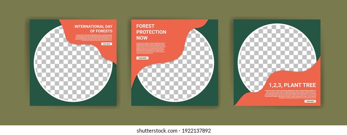 International Day of Forests. Social media template for International Day of Forests. Education to know the forest. Sustaining all life on earth.