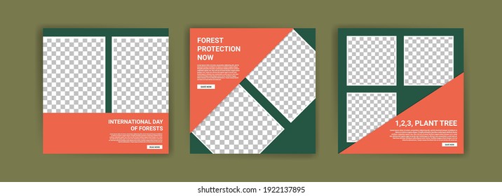 International Day of Forests. Social media template for International Day of Forests. Education to know the forest. Sustaining all life on earth.