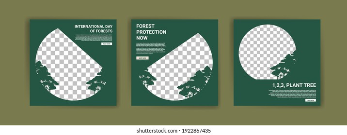 International Day of Forests. Social media template for International Day of Forests. Education to know the forest. Sustaining all life on earth.