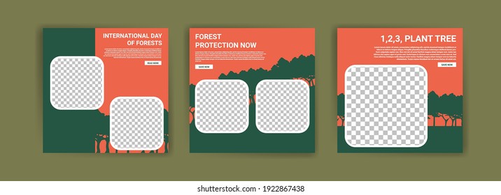 International Day of Forests. Social media template for International Day of Forests. Education to know the forest. Sustaining all life on earth.