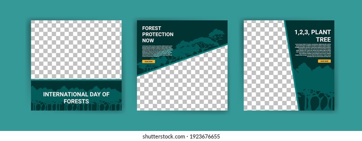 International Day of Forests. Social media template for International Day of Forests. Education to know the forest. Sustaining all life on earth.