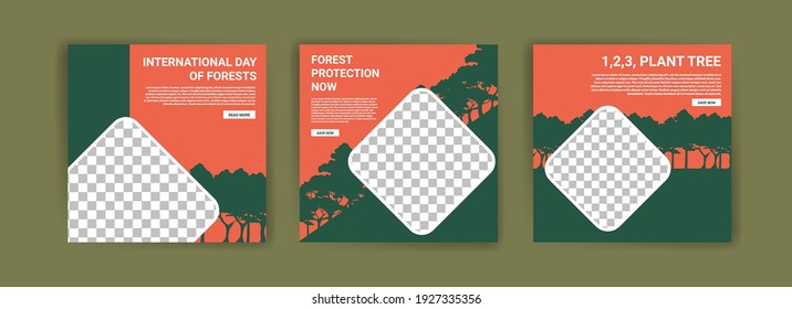 International Day of Forests. Social media template for International Day of Forests. Education to know the forest. Sustaining all life on earth.