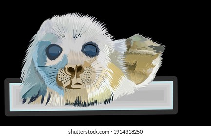 International day of the seal on 1st of March. The baby seals are basking on the shrinking iceberg. Vector Illustration.