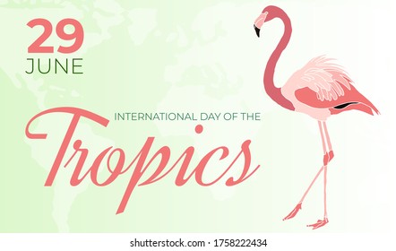 International Day of the Tropics Background Illustration Banner