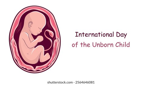 International day of the unborn child, children, fetus, in the womb, vector illustration