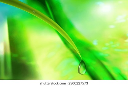 International Earth Day Concept, Water drop under the green grass.