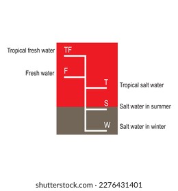 The international load water  line shows where fully loaded ships should sit in waters of different density, it used to be called the Plimsoll line, after the person who invented it