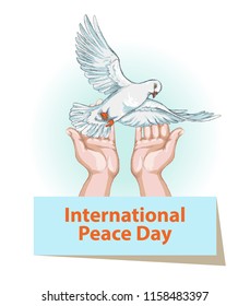 International peace day. September 21st. Background template for poster or Banner design. A peaceful bird, a white dove in human hands. Vector illustration.