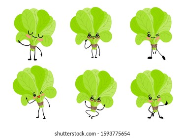 International spinach day. sorrel. Greens. Cheerful cute cartoon spinach character with eyes and hands.