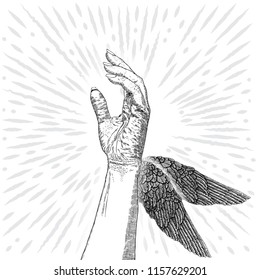 International woman day. Diversity raised fist with wings, strong girl power, yes you can concept. Vector.