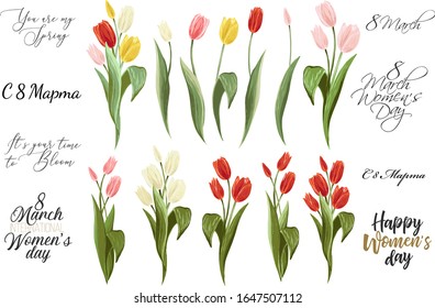 Texto del Día Internacional de la Mujer en ruso, letras de 8 marchas y colorido ramo de tulipán. Elementos florales primaverales. Conjunto de flores vectoriales de flor. Simple ilustración de acuarela digital. Gráfico de época