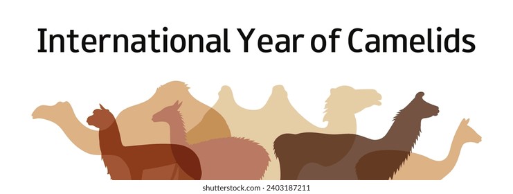 Año Internacional de los Camelidos. Camello bactriano, alpaca, dromedario, guanaco, llama, siluetas de vicuña. Banner horizontal. Ilustración vectorial.