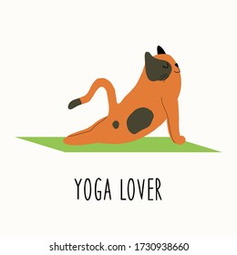 International Yoga Day 21st of June.Colorful flat vector hand drawn illustartion.Set of a  Red cat doing yoga. Yoga Exercise,Asanas,Stretching. Yoga lover.