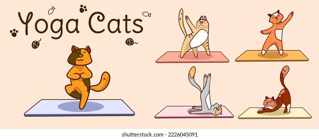 International yoga day. Cats yoga. Different yoga poses and exercises. Colorful flat vector hand drawn illustartion.