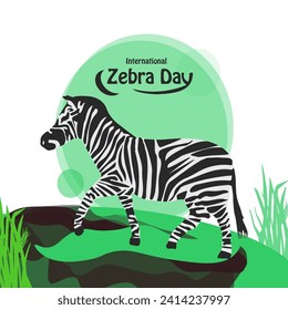 International Zebra Day vector, illustration. Flat design. Flyer design.