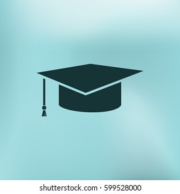 Internet training icon, vector illustration. Flat design style