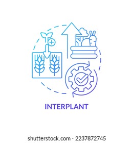 Interplant blue gradient concept icon. Plant multiple cultures. Increasing farming productivity abstract idea thin line illustration. Isolated outline drawing. Myriad Pro-Bold font used