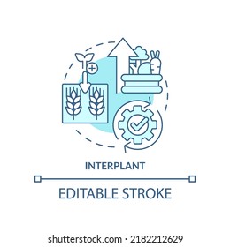 Interplant turquoise concept icon. Plant multiple cultures. Farming productivity abstract idea thin line illustration. Isolated outline drawing. Editable stroke. Arial, Myriad Pro-Bold fonts used
