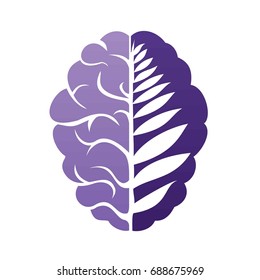 Interpretation of the human brain with ferns