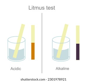 The interpretation of litmus test for PH detection in target solution that shows the color changing of paper to red and purple in Acidic (Acid) and Alkaline (base), respectively.