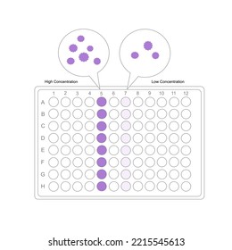 Die Interpretation der Zielmolekül-Detektion auf 96 Bohrlochplatten, die eine Analyse mit hoher und niedriger Konzentration darstellen