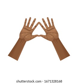 interracial hands human up isolated icon vector illustration design